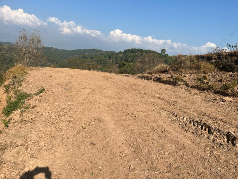  Residential Plot 15 Marla for Sale in Sidhbari, Dharamsala