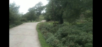  Commercial Land for Sale in Tang Narwana, Dharamshala