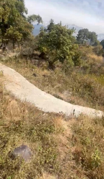  Residential Plot 12 Marla for Sale in Matour, Kangra