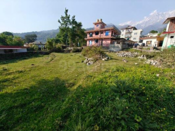  Residential Plot for Sale in Tapovan, Dharamsala