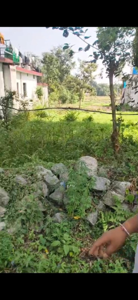  Residential Plot 24 Marla for Sale in Dari, Dharamsala