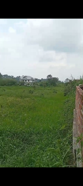  Residential Plot 20 Marla for Sale in Kandwari, Palampur
