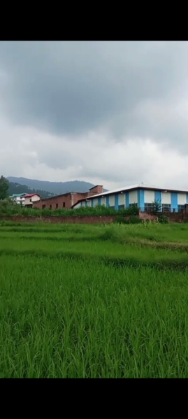  Residential Plot 12 Marla for Sale in Dari, Dharamsala