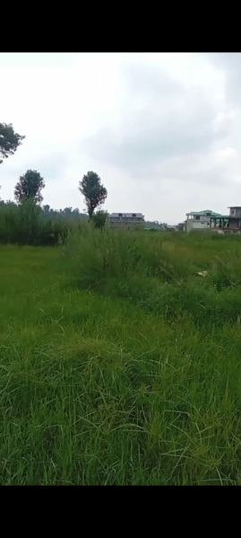  Residential Plot 12 Marla for Sale in Dari, Dharamsala