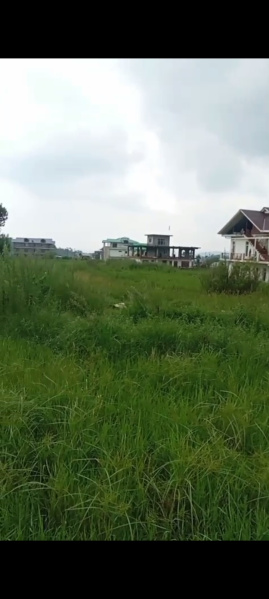  Residential Plot 12 Marla for Sale in Dari, Dharamsala