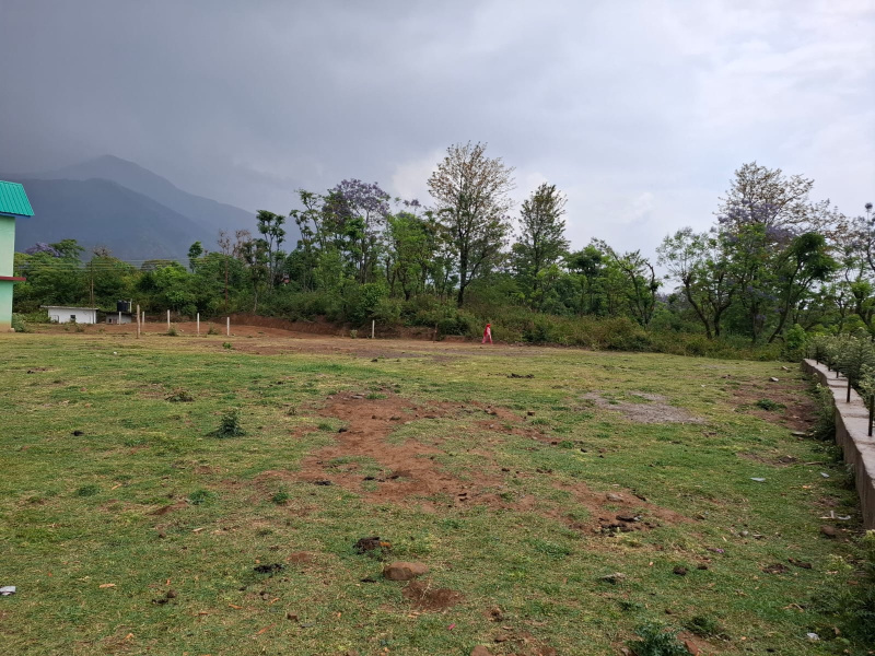  Residential Plot 16 Marla for Sale in Ghuggar, Palampur