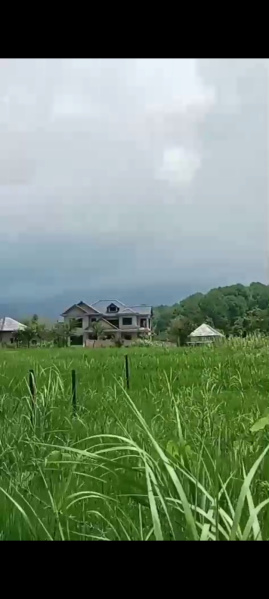  Residential Plot 16 Marla for Sale in Dari, Dharamsala