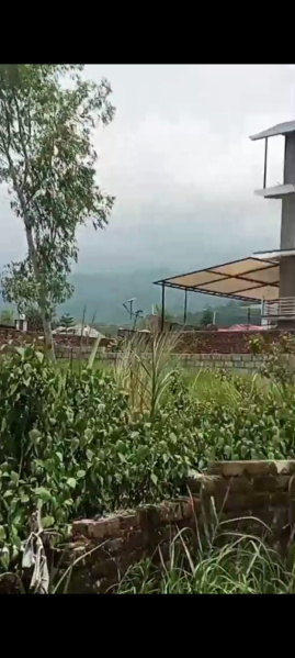  Residential Plot 16 Marla for Sale in Dari, Dharamsala