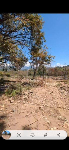  Residential Plot 900 Marla for Sale in Gharoh, Dharamsala