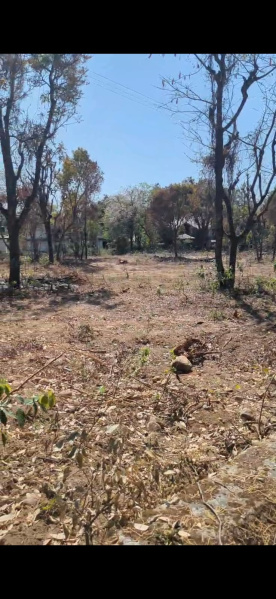  Residential Plot 900 Marla for Sale in Gharoh, Dharamsala