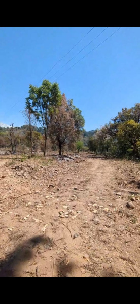 Residential Plot 900 Marla for Sale in Gharoh, Dharamsala