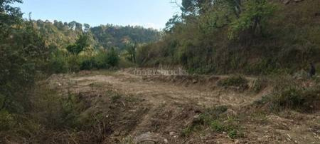  14 Marla Residential Plot for Sale in Tapovan, Dharamsala