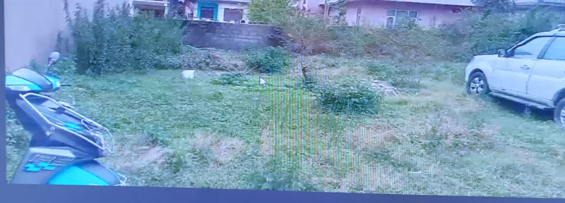  Residential Plot 20 Marla for Sale in Rait, Kangra