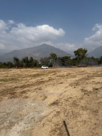  Commercial Land for Sale in Chohla, Dharamshala