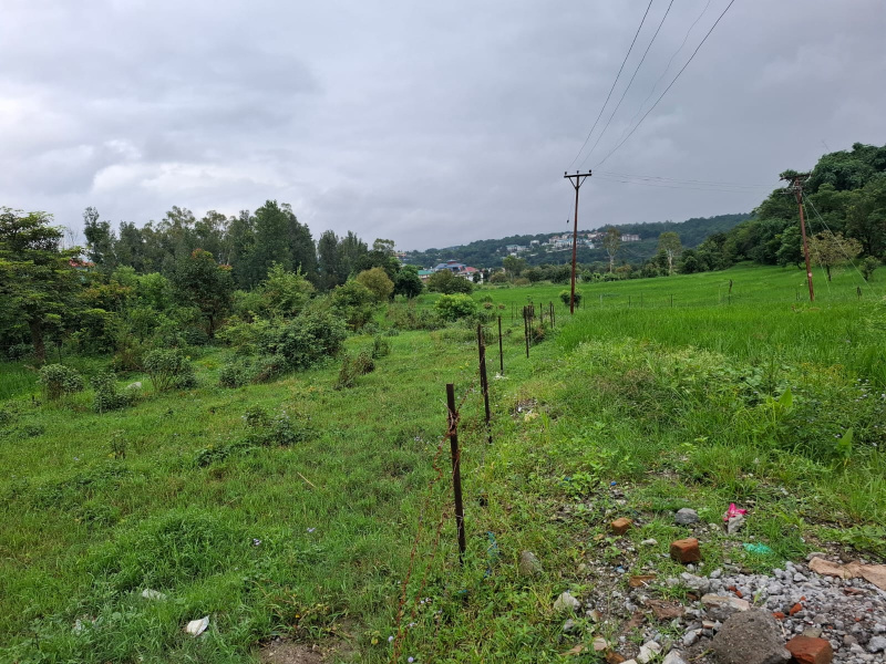  Residential Plot 15 Marla for Sale in Sidhbari, Dharamsala