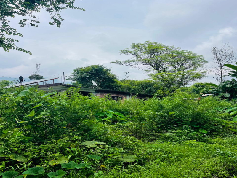  Residential Plot 22 Marla for Sale in Yol Cantt, Dharamsala