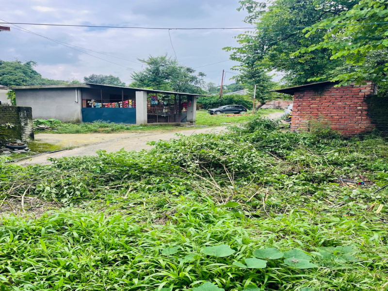  Residential Plot 22 Marla for Sale in Yol Cantt, Dharamsala