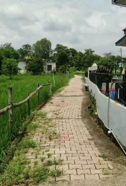  Residential Plot 28 Marla for Sale in Matour, Kangra