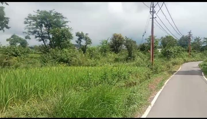  Residential Plot 52 Marla for Sale in HPCA Stadium, Dharamshala