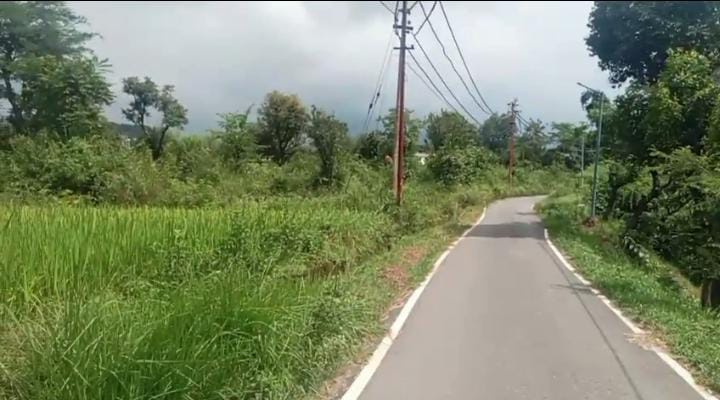  Residential Plot 52 Marla for Sale in HPCA Stadium, Dharamshala