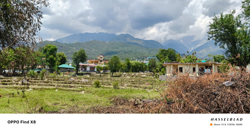  20 Marla Residential Plot for Sale in Dari, Dharamsala