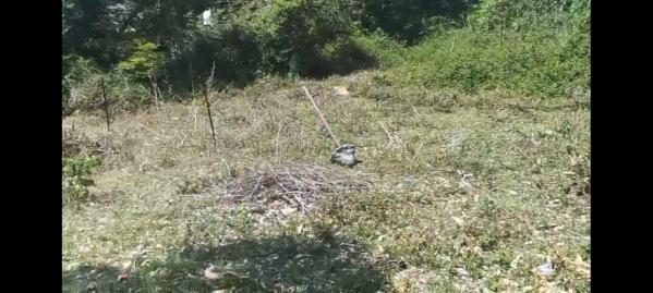  Residential Plot 45 Marla for Sale in Gharoh, Dharamsala