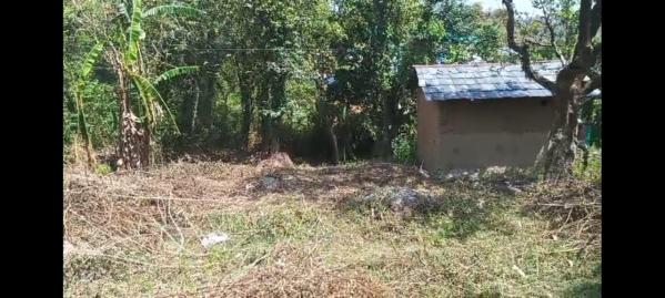  Residential Plot 45 Marla for Sale in Gharoh, Dharamsala