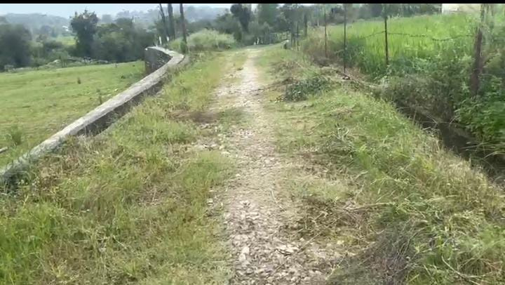  Residential Plot 160 Marla for Sale in Ghuggar, Palampur