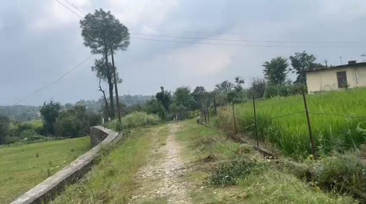  Residential Plot 160 Marla for Sale in Ghuggar, Palampur
