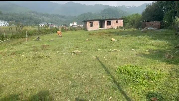  Residential Plot 160 Marla for Sale in Chimbalhar, Palampur