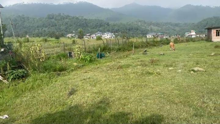  Residential Plot 160 Marla for Sale in Chimbalhar, Palampur