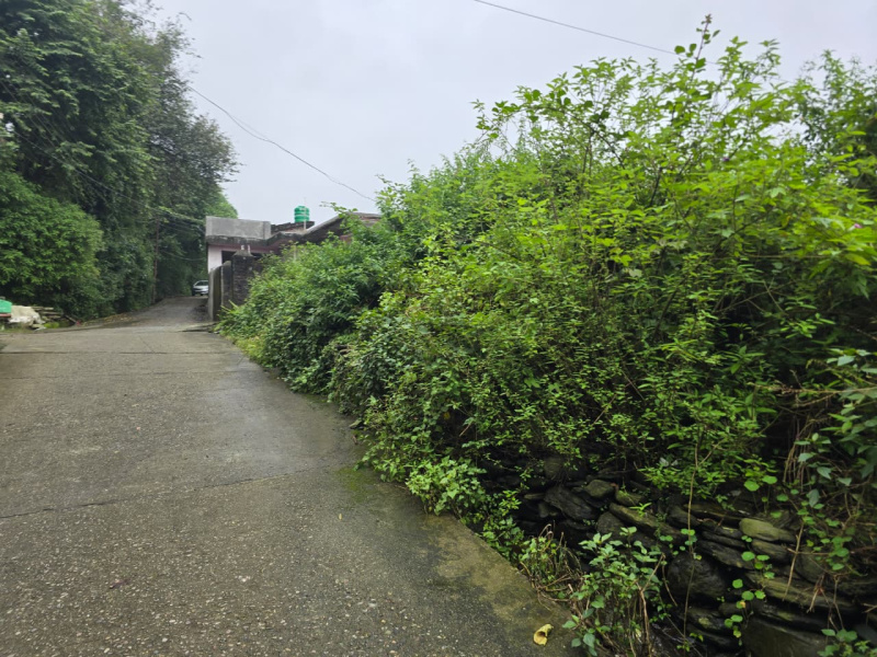  40 Marla Residential Plot for Sale in Yol Cantt, Dharamsala