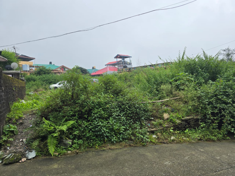  40 Marla Residential Plot for Sale in Yol Cantt, Dharamsala