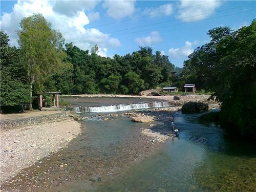  Residential Plot 11 Marla for Sale in Dari, Dharamsala