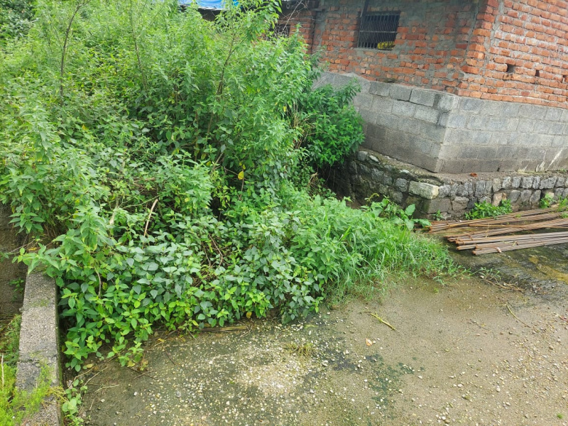  Residential Plot 20 Marla for Sale in Yol Cantt, Dharamsala