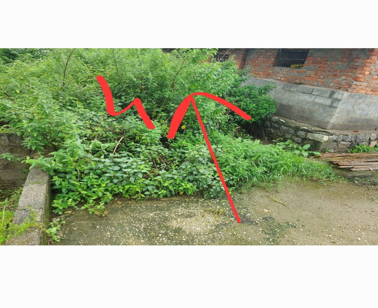  Residential Plot 20 Marla for Sale in Yol Cantt, Dharamsala