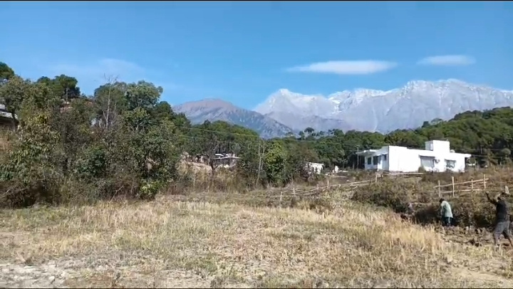  15 Marla Residential Plot for Sale in Palampur Road, Dharamsala