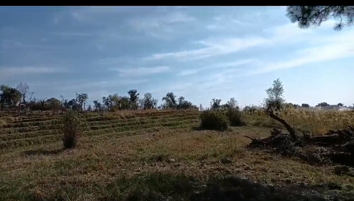  60 Marla Residential Plot for Sale in Palampur Road, Dharamsala