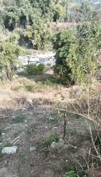  100 Marla Commercial Land for Sale in Palampur Road, Dharamsala