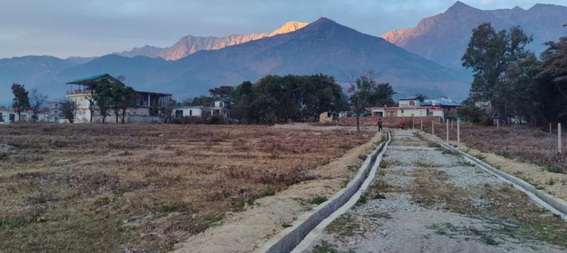  13 Marla Residential Plot for Sale in Tang Narwana, Dharamshala