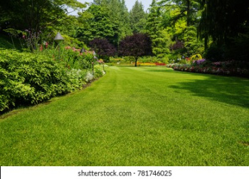 Residential Plot for Sale in Matour, Kangra
