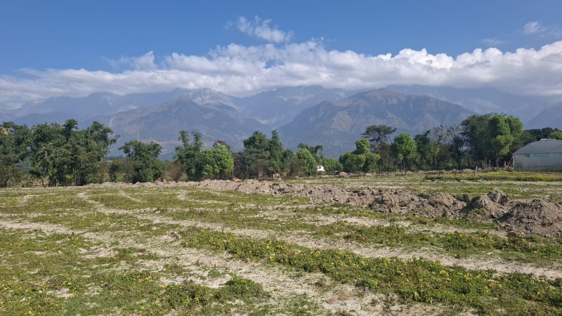  40 Marla Residential Plot for Sale in Palampur Road, Dharamsala