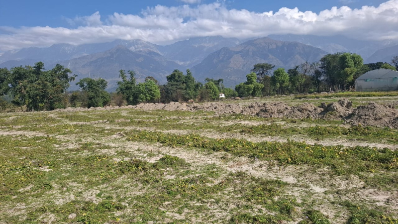  40 Marla Residential Plot for Sale in Palampur Road, Dharamsala