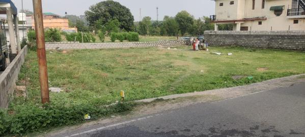 20 Marla Residential Plot for Sale in Matour, Kangra