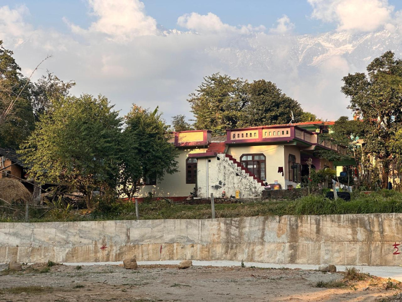  20 Marla Residential Plot for Sale in Sakoh, Kangra