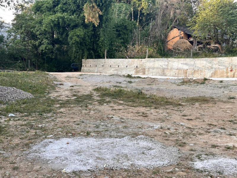  60 Marla Residential Plot for Sale in Sakoh, Kangra