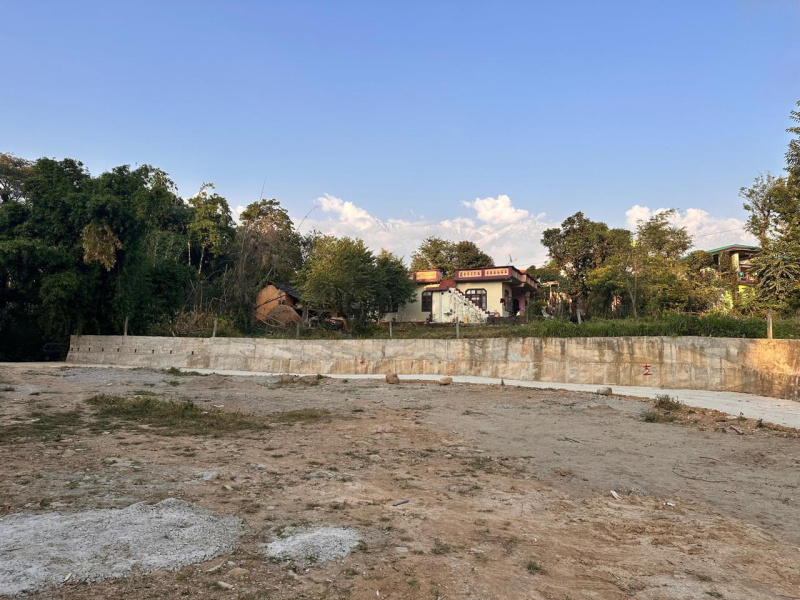  40 Marla Residential Plot for Sale in Sakoh, Kangra
