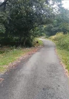  Residential Plot for Sale in Palampur Road, Dharamsala