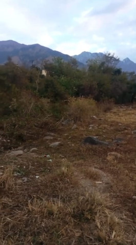  50 Marla Residential Plot for Sale in Palampur Road, Dharamsala