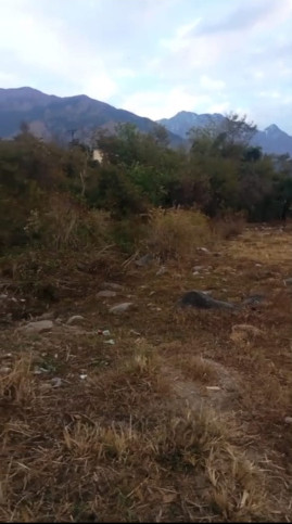  50 Marla Residential Plot for Sale in Palampur Road, Dharamsala